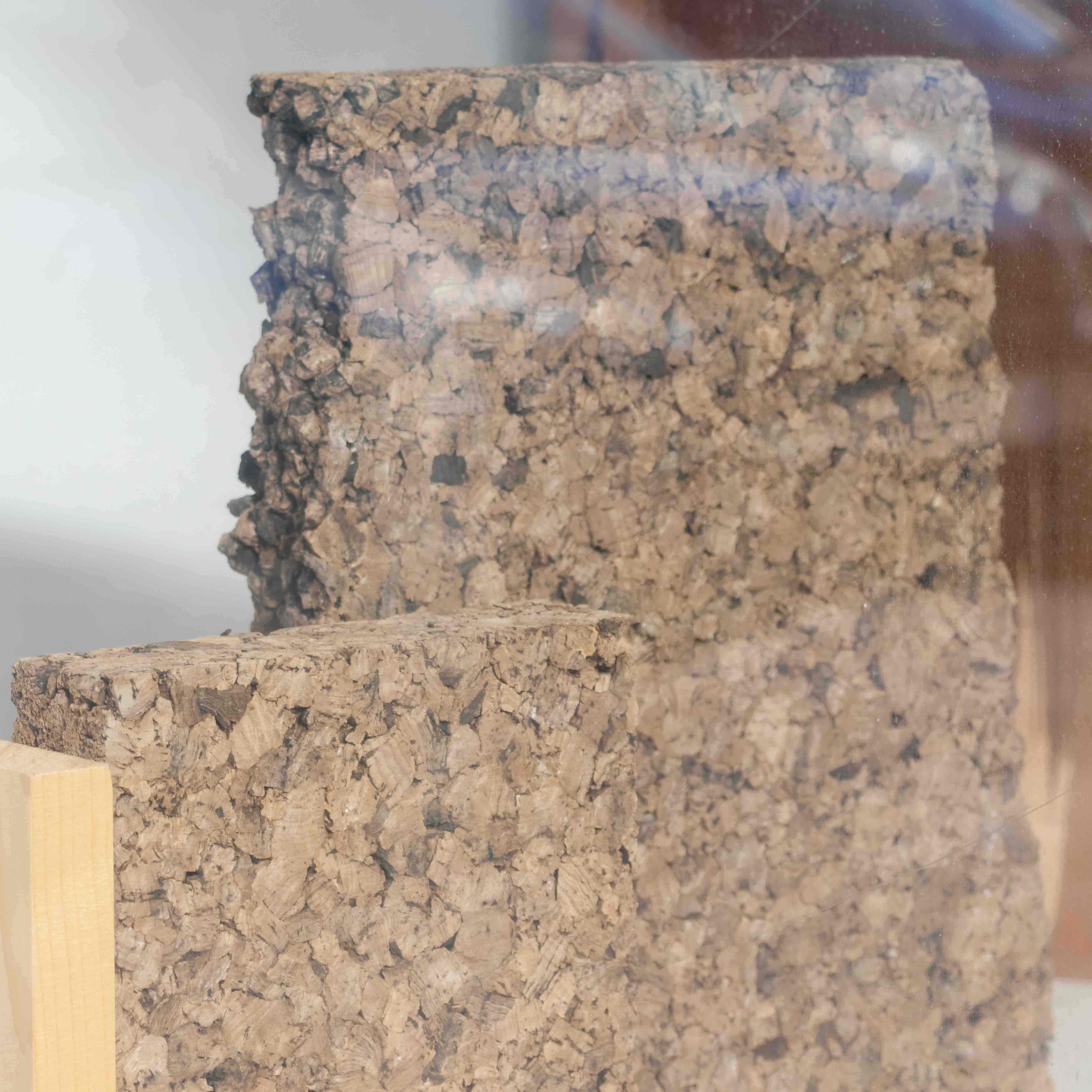 Bioconstrucción - Pegada Arquitectura